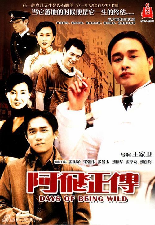 高仿戴维斯与艾尔肯斯学院成绩单